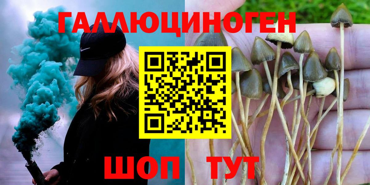 Искитим  Псилоцибиновые грибы Psilocybine cubensis  Вход с VPN 