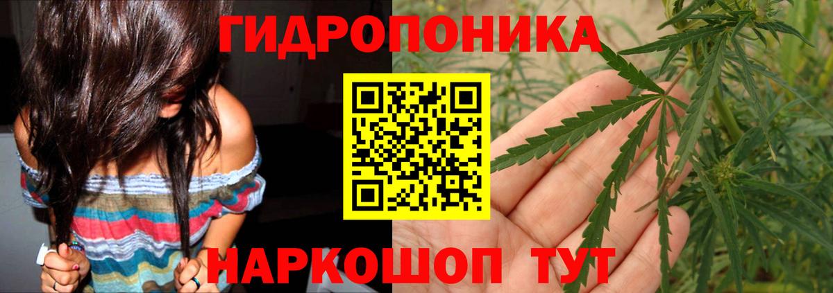 Искитим  Бошки Шишки MAZAR  Вход с VPN  Канабис гибрид 